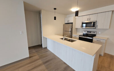 353 Sabourin – St. Pierre Jolys – 2 bdrm – Pet Friendly